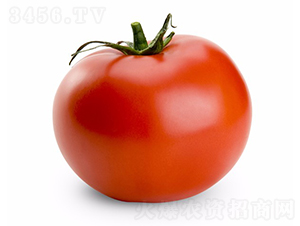 CNUS1704-�������L���ѷN��-�A���N��