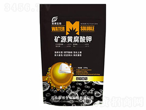 �VԴ�S�����-�䲩����