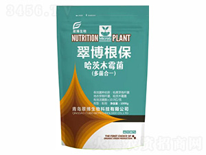 ����ľù��-�䲩����-�䲩����