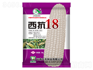 ���׷N��-����18-����N�I(y��)