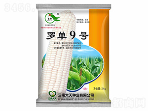 ���׷N��-�_��9̖-����N�I(y��)