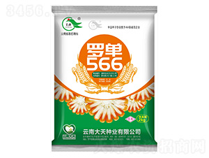 ���׷N��-�_��566-����N�I(y��)