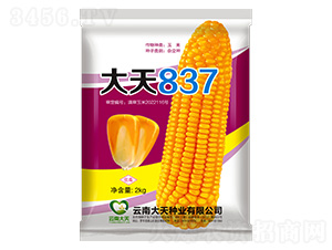 ���׷N��-����837-����N�I(y��)