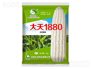 ���׷N��-����1880-����N�I(y��)