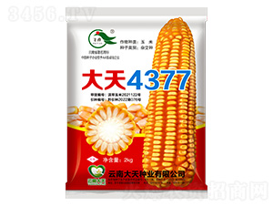 ���׷N��-����4377-����N�I(y��)