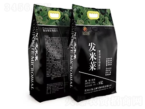 �l(f��)���R�ͺ�΢�������-�G֮��