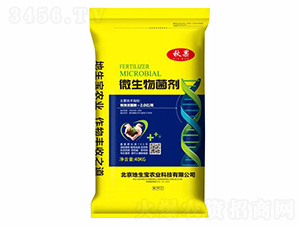 40kg΢�������-���-������