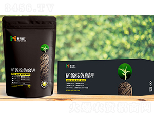 �VԴ���S���-���f��