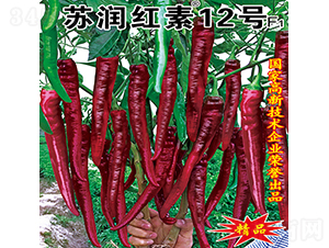 �K��(r��n)�t��12̖(h��o)-�����N��-�K��(r��n)�N�I(y��)