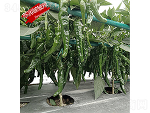 �K��(r��n)������-�����N��-�K��(r��n)�N�I(y��)