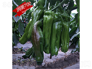 �K��(r��n)700-�����N��-�K��(r��n)�N�I(y��)