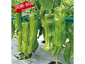 �K��(r��n)800-�����N��-�K��(r��n)�N�I(y��)