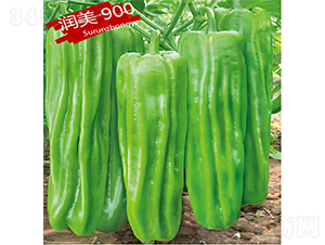 �K��(r��n)900-�����N��-�K��(r��n)�N�I(y��)