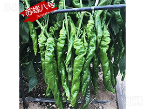 �K�ݰ�̖(h��o)-�����N��-�K��(r��n)�N�I(y��)