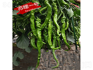 �K��һ̖(h��o)-�����N��-�K��(r��n)�N�I(y��)