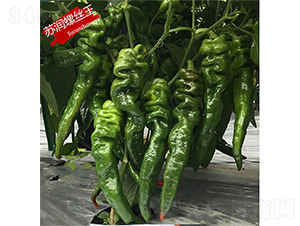 �K��(r��n)�ݽz��-�����N��-�K��(r��n)�N�I(y��)