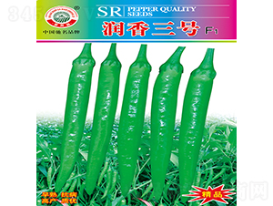 ��(r��n)����̖(h��o)-�����N��-�K��(r��n)�N�I(y��)