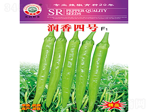 ��(r��n)����̖(h��o)-�����N��-�K��(r��n)�N�I(y��)