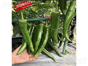 ��(r��n)��605-�����N��-�K��(r��n)�N�I(y��)