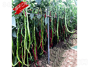 �K�ɶ�̖-�����N��-�K���N�I(y��)