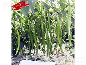 ����-�����N��-�K���N�I(y��)