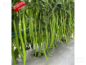 �K��39̖-�����N��-�K���N�I(y��)