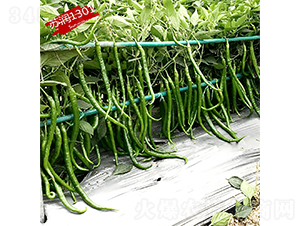 �K��1301-�����N��-�K���N�I(y��)