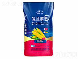 �ͺϷ���27-13-11-�º��ʘI(y��)