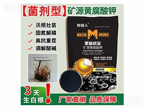 ��̼�ɽ�VԴ�S�����-������