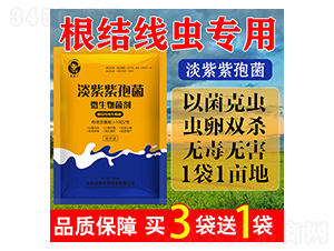 �������߾�-΢�������-������