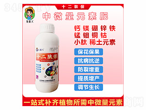 ʮ���ı�-������