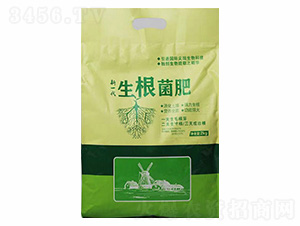 2kg��������-���_(d��)����