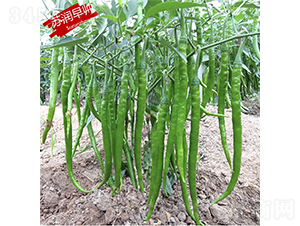 �K���玛-�����N��-�K���N�I(y��)