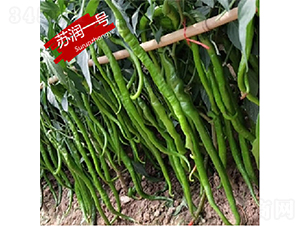 �K��һ̖-�����N��-�K���N�I(y��)