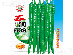 �K��509-�����N��-�K���N�I(y��)