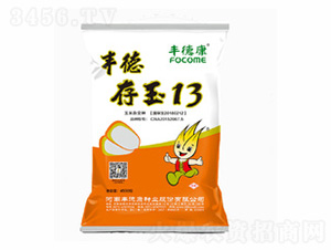 �S�´���13-�S�¿�