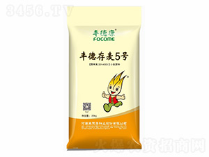 �S�´���5̖-�S�¿�