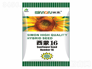 西蒙16-西蒙種業(yè)