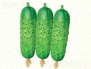 �¸���ͯ�S��-�S�ϷN��-�¸߷N�I(y��)