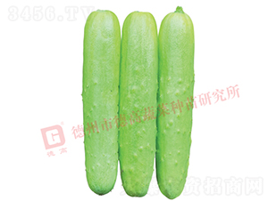 �¸ߚW���S��-�S�ϷN��-�¸߷N�I(y��)