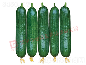 �¸ߚW�����S��-�S�ϷN��-�¸߷N�I(y��)