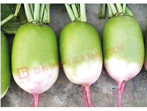 �������}��-�¸ߺ��t-�}���N��-�¸߷N�I(y��)