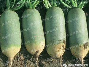 ˮ���}��-���-�}���N��-�¸߷N�I(y��)