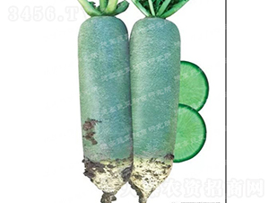 ˮ���}��-����-�}���N��-�¸߷N�I(y��)