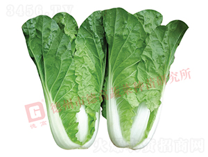 �~ɫ�Gɫ���-̩�(y��ng)-��˷N��-�¸߷N�I(y��)