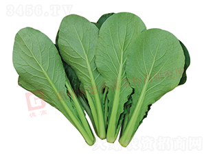 �G�Ϳ��-�¸�����8̖(h��o)-��˷N��-�¸߷N�I(y��)