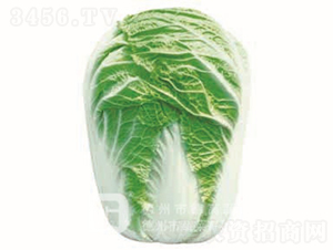 �＾�ײ�-�¸�1̖(h��o)-��ײ˷N��-�¸߷N�I(y��)