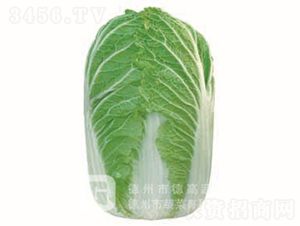 �＾�ײ�-�¸�18-��ײ˷N��-�¸߷N�I(y��)