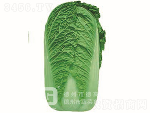 �＾�ײ�-���G���h-��ײ˷N��-�¸߷N�I(y��)