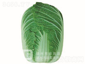 �＾�ײ�-�F��2̖(h��o)-��ײ˷N��-�¸߷N�I(y��)